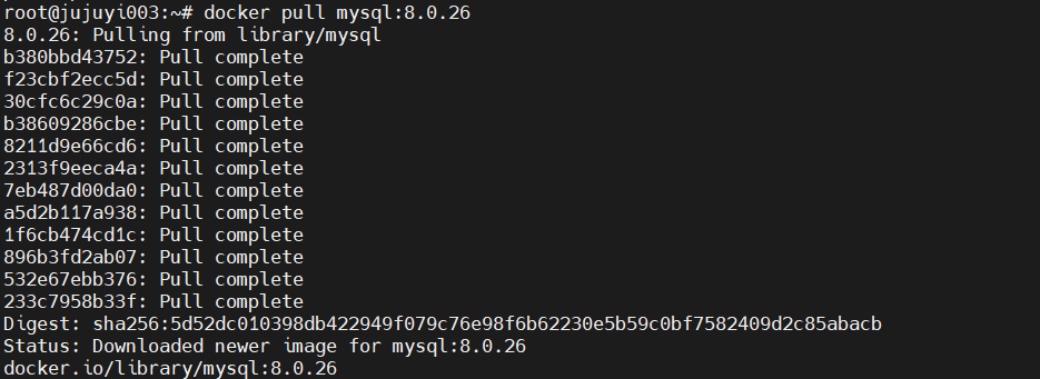 image-20241121110404029