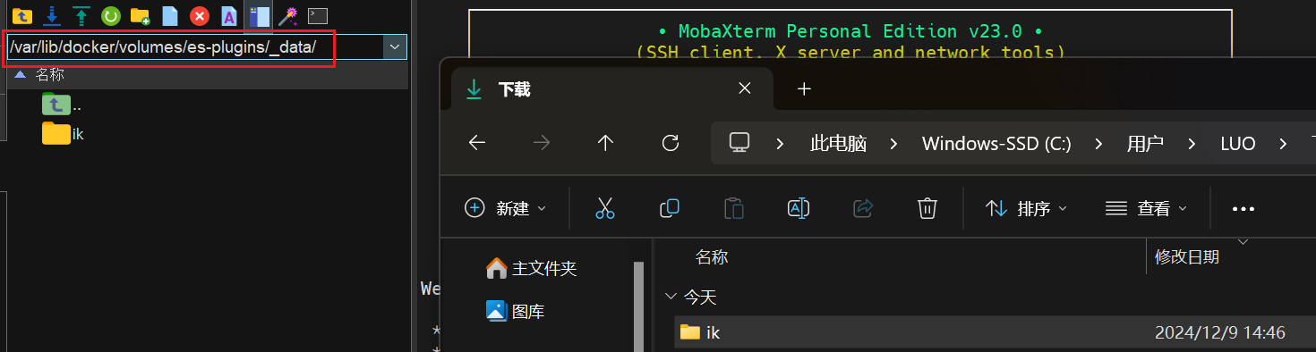 image-20241209144854841